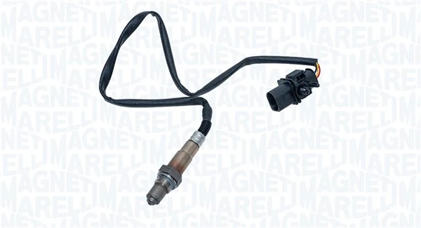 Oxygen Sensor